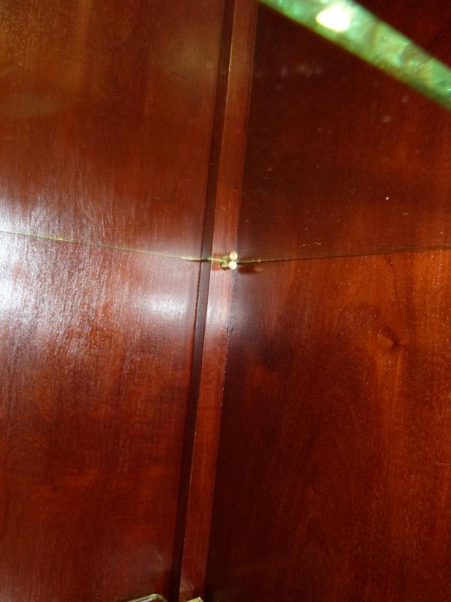 Vitrine Art Nouveau En Acajou Et Bronzes Décor Chardons-photo-5