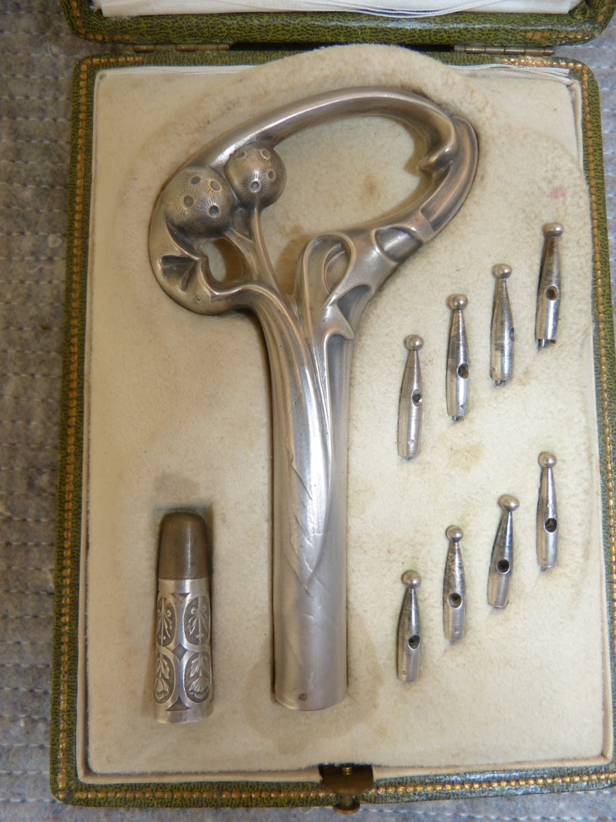 Art Nouveau Silver Dandelion Umbrella Kit