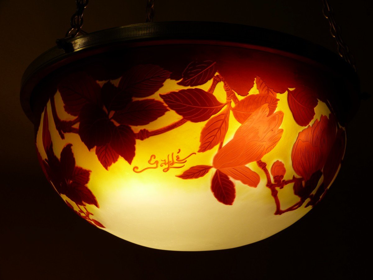 Rare Art Nouveau Gallé Chandelier Vasque With Magnolias-photo-3