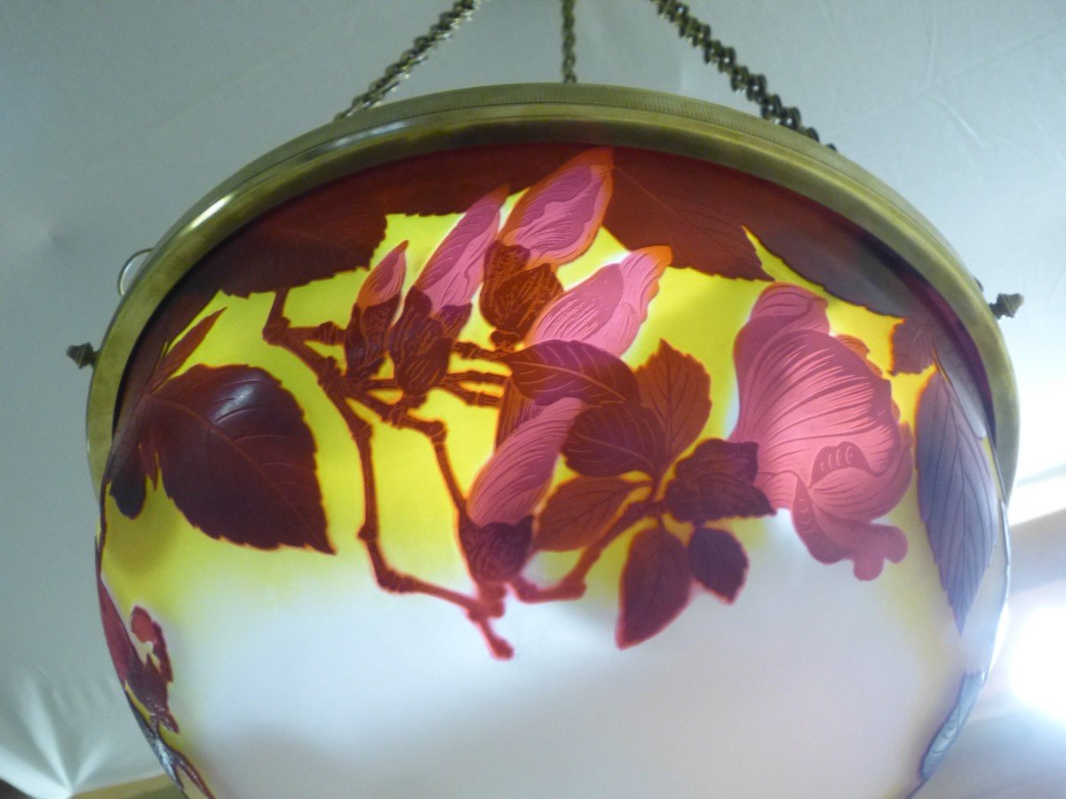 Rare Art Nouveau Gallé Chandelier Vasque With Magnolias-photo-7