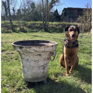 Important Cast Iron Mortar Late 15th Century Planter Basin 