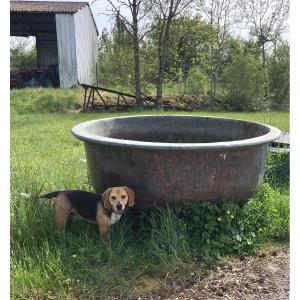 Enorme cuve en cuivre Diamètre 175 cm cuve à fromage comté jardinière bac à plantes vasque 