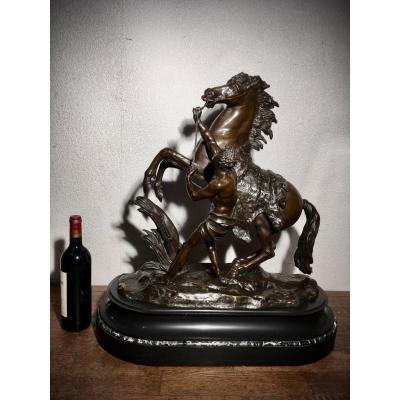 Coustou , Grand Bronze De Coustou Cheval de Marly   69 cm Napoléon III