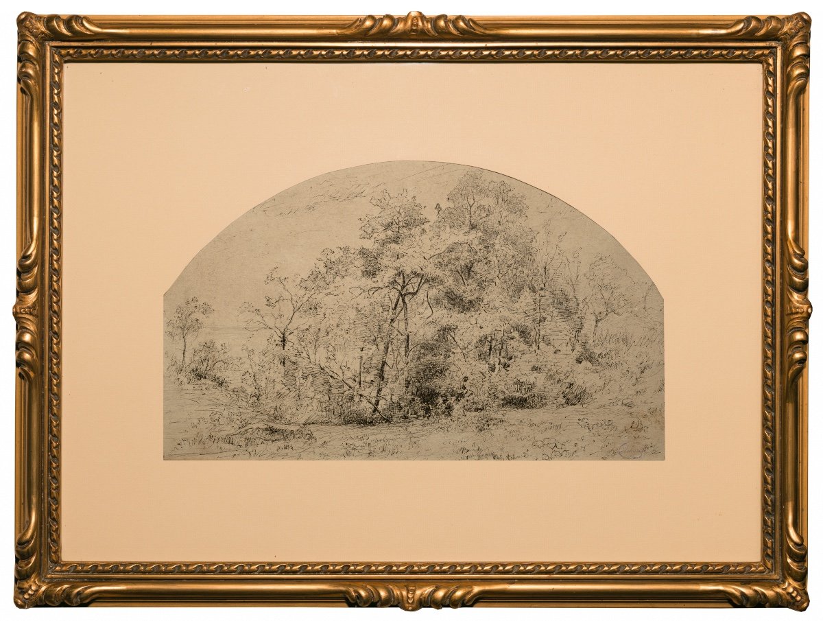 Jean-alexis Achard (1807-1884). Trees And Shrubs Near A Pond-photo-2