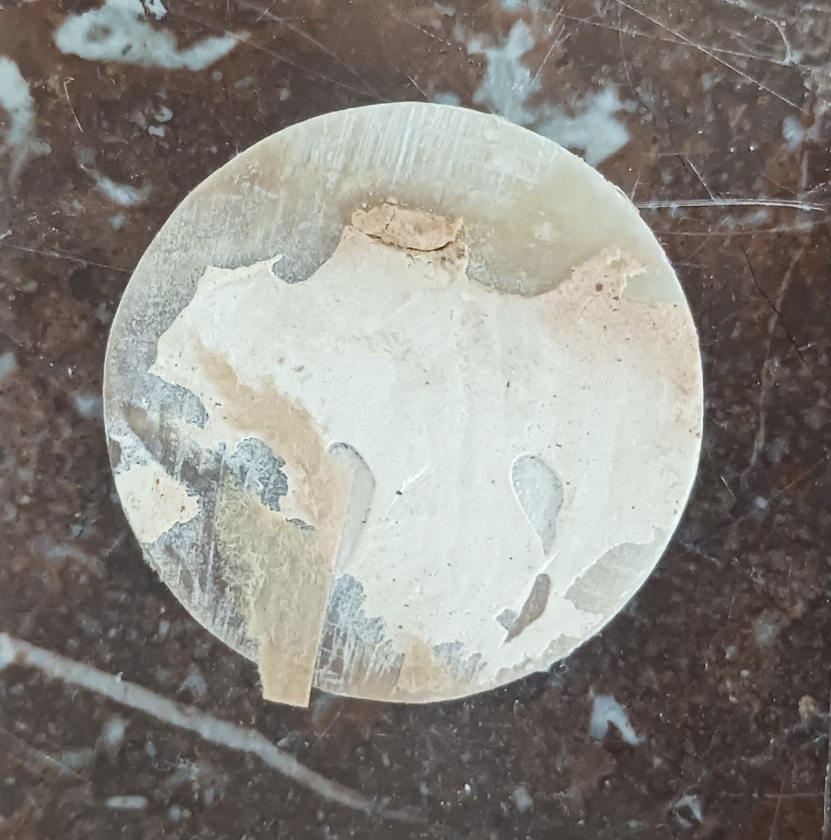 Souvenir Du Grand Tour - Medallion By Ariosto Cameo Style - Alabaster-photo-1