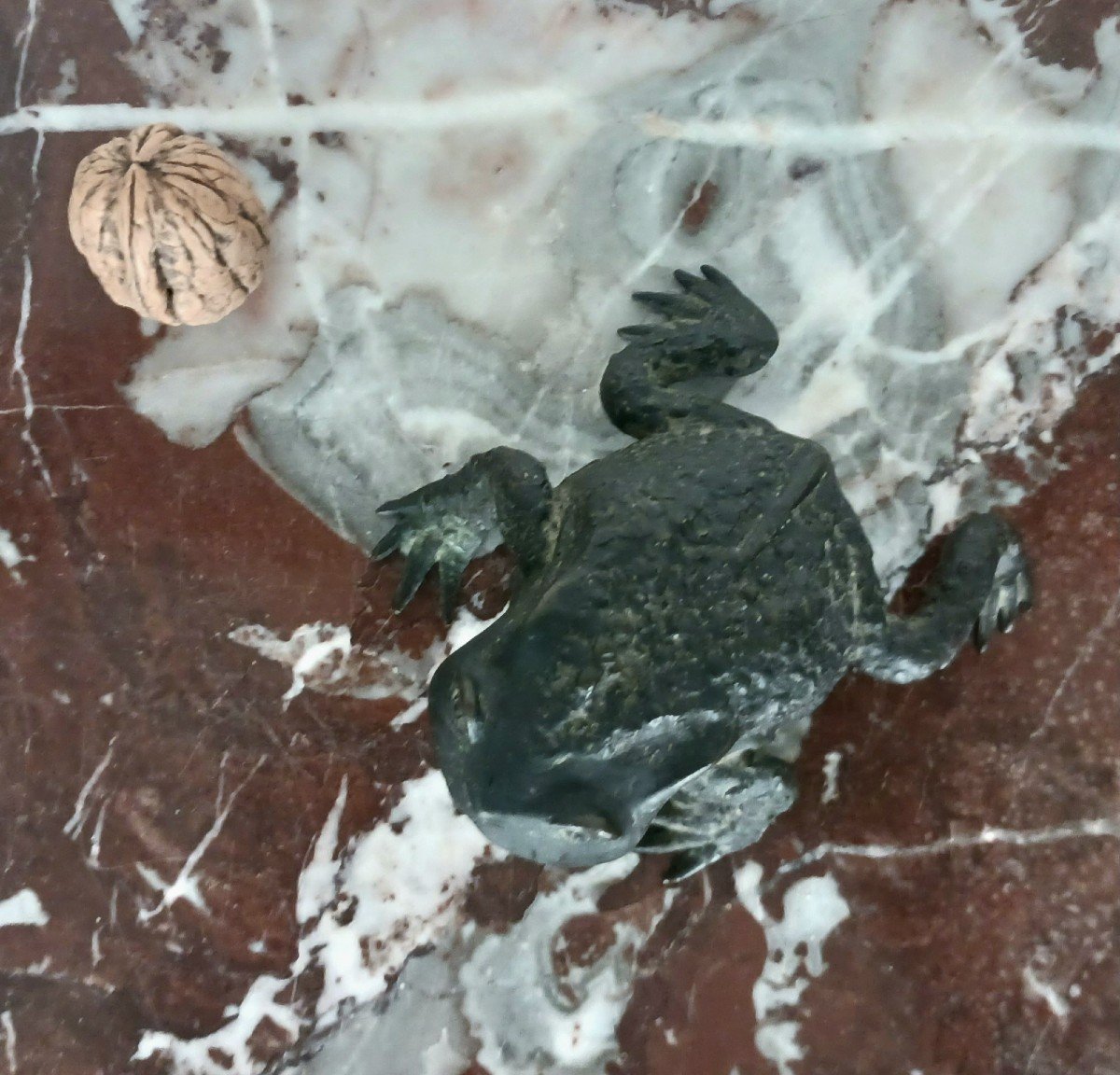 Kunstkammer - Patinated Bronze Toad - Renaissance Style From Padua-photo-2