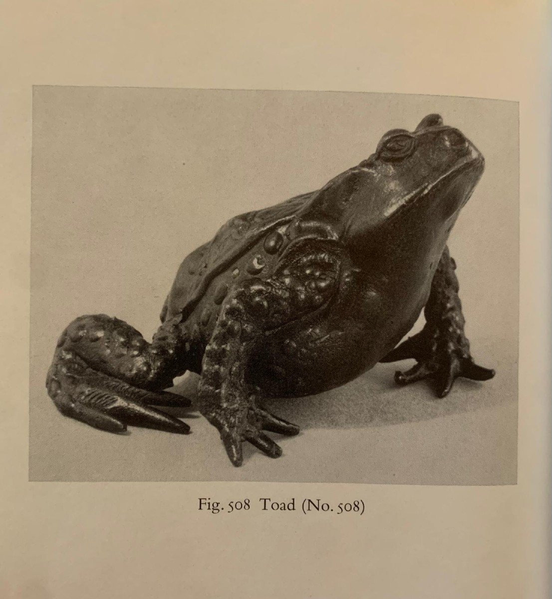 Kunstkammer - Patinated Bronze Toad - Renaissance Style From Padua-photo-5