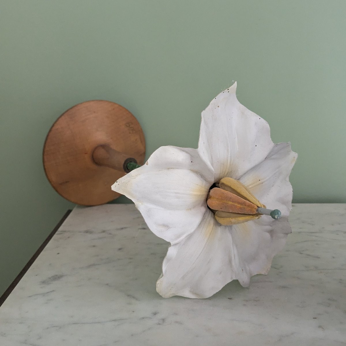Botanical Model Of A Potato Flower, Solarium Tuberosum - Germany, Circa 1970-photo-4