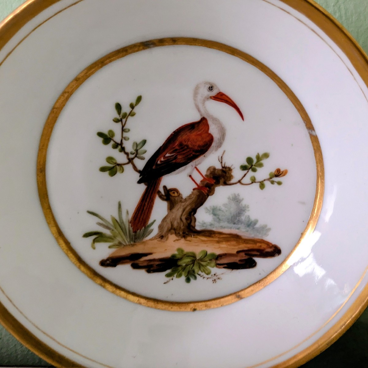 Bruxelles, vers 1800 - tasse litron en porcelaine - décor ornithologique, à la Buffon-photo-4