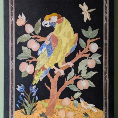 Premiere-Image-1720606