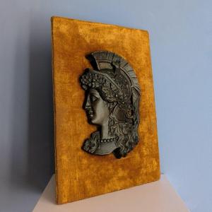 Souvenir From The Grand Tour In The Late 19th Century—a Profile Of Athena In Patinated Bronze On Antique Orange Velvet