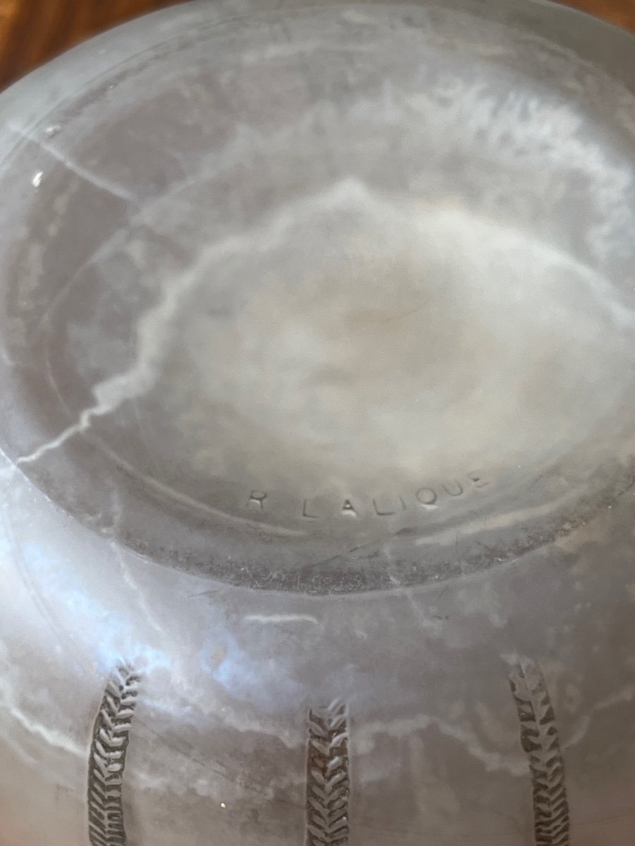 René Lalique Mimosa White Glass Vase 1921-photo-4