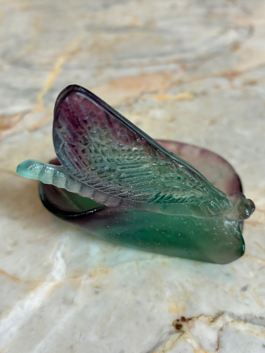 Daum France Glass Paste Bowl Emptier Dragonfly 20th Century-photo-3