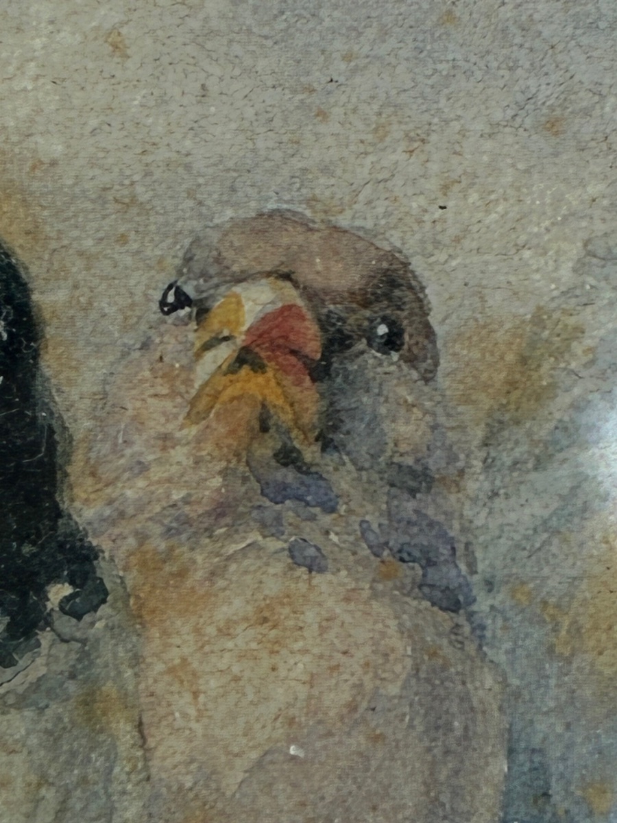 Hector Giacomelli (1822–1904) – “flock Of Birds” – Large Signed 19th-century Watercolor-photo-1