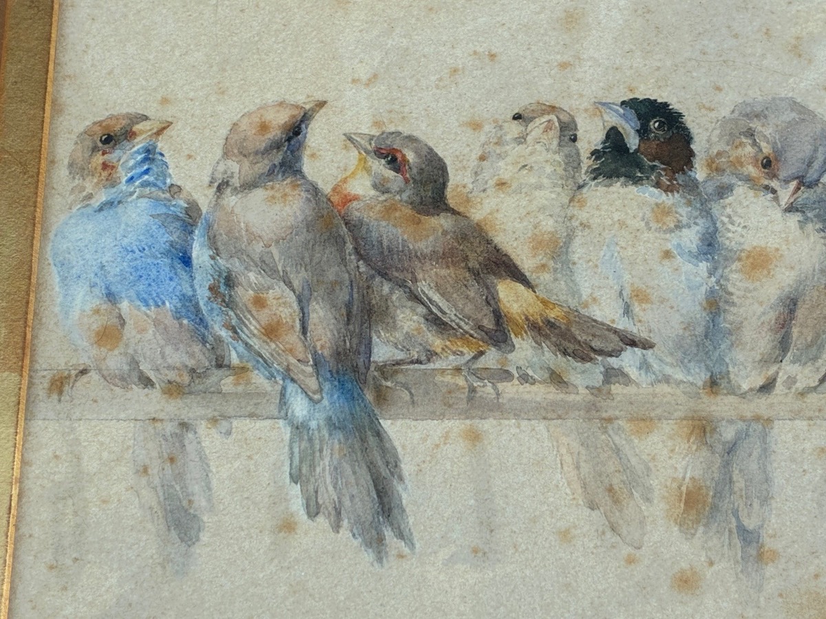 Hector Giacomelli (1822–1904) – “flock Of Birds” – Large Signed 19th-century Watercolor-photo-2