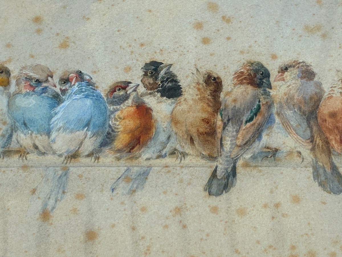 Hector Giacomelli (1822–1904) – “flock Of Birds” – Large Signed 19th-century Watercolor-photo-3