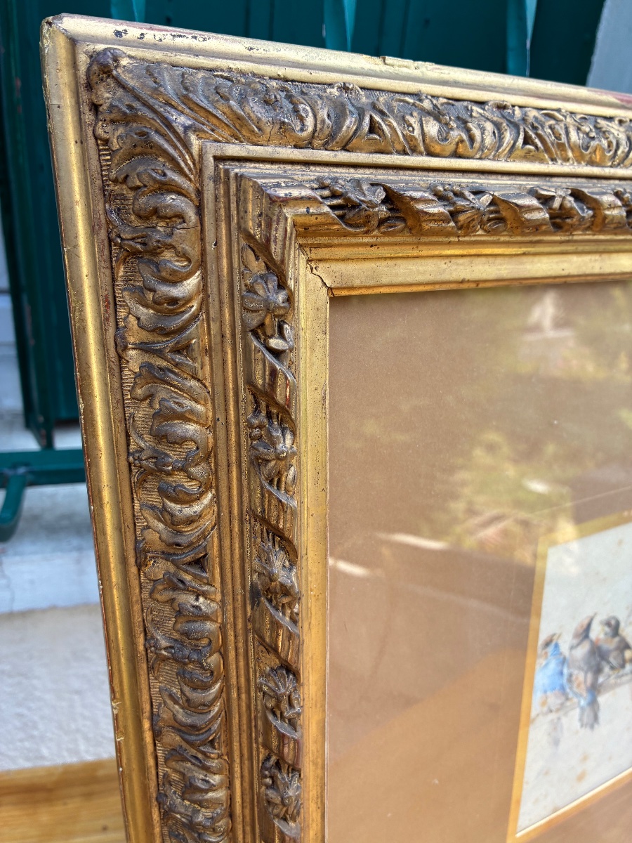 Hector Giacomelli (1822–1904) – “flock Of Birds” – Large Signed 19th-century Watercolor-photo-6