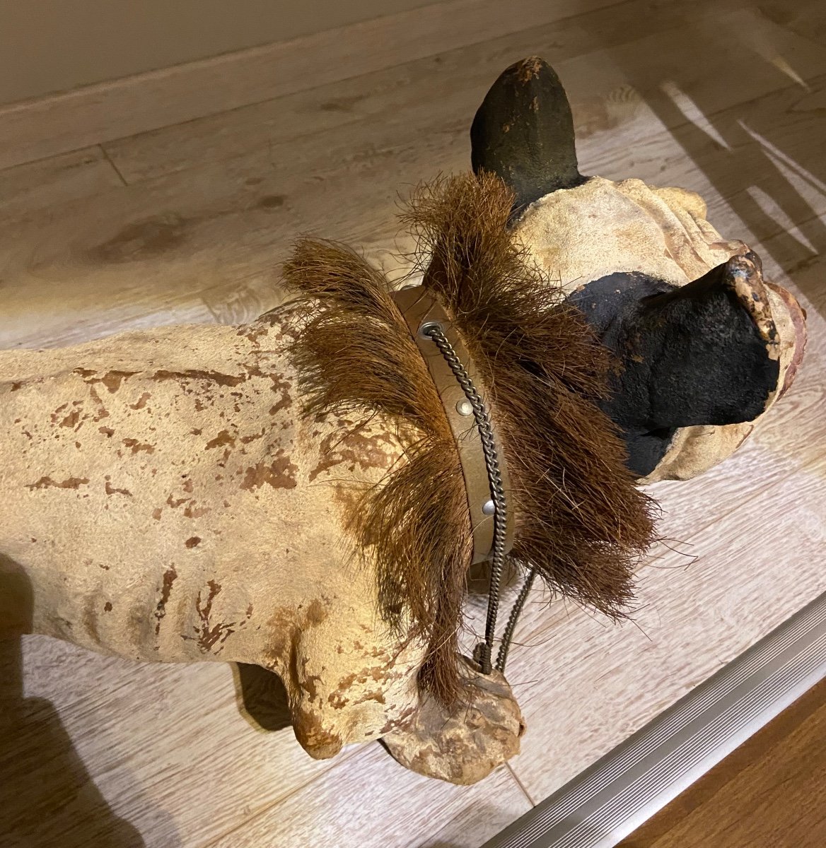 Large Barking French Bulldog Pull Along Toy 55cm Circa 1920-photo-4