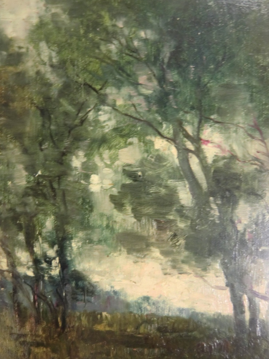 Giraud émile (1850-1918) -photo-1