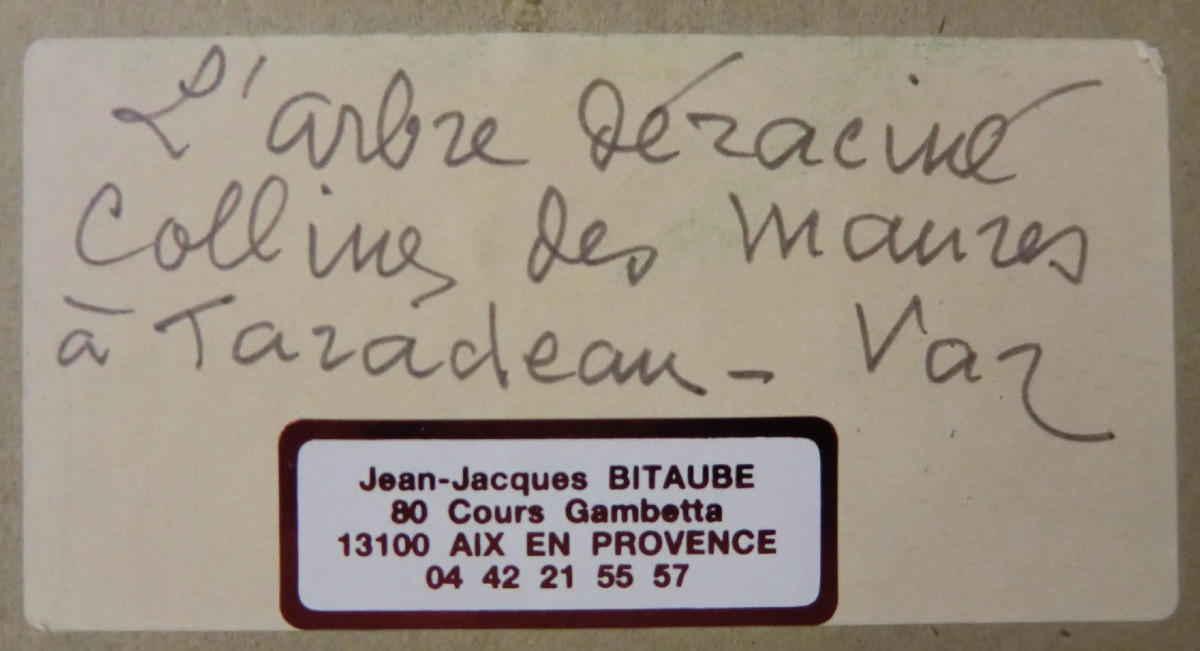 Bitaube Fernand (1906-1993) -photo-6