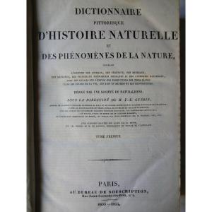 M F E GUÉRIN "Dictionnaire Pittoresque Histoire Naturelle" 1833-1834 9 Volumes In-4