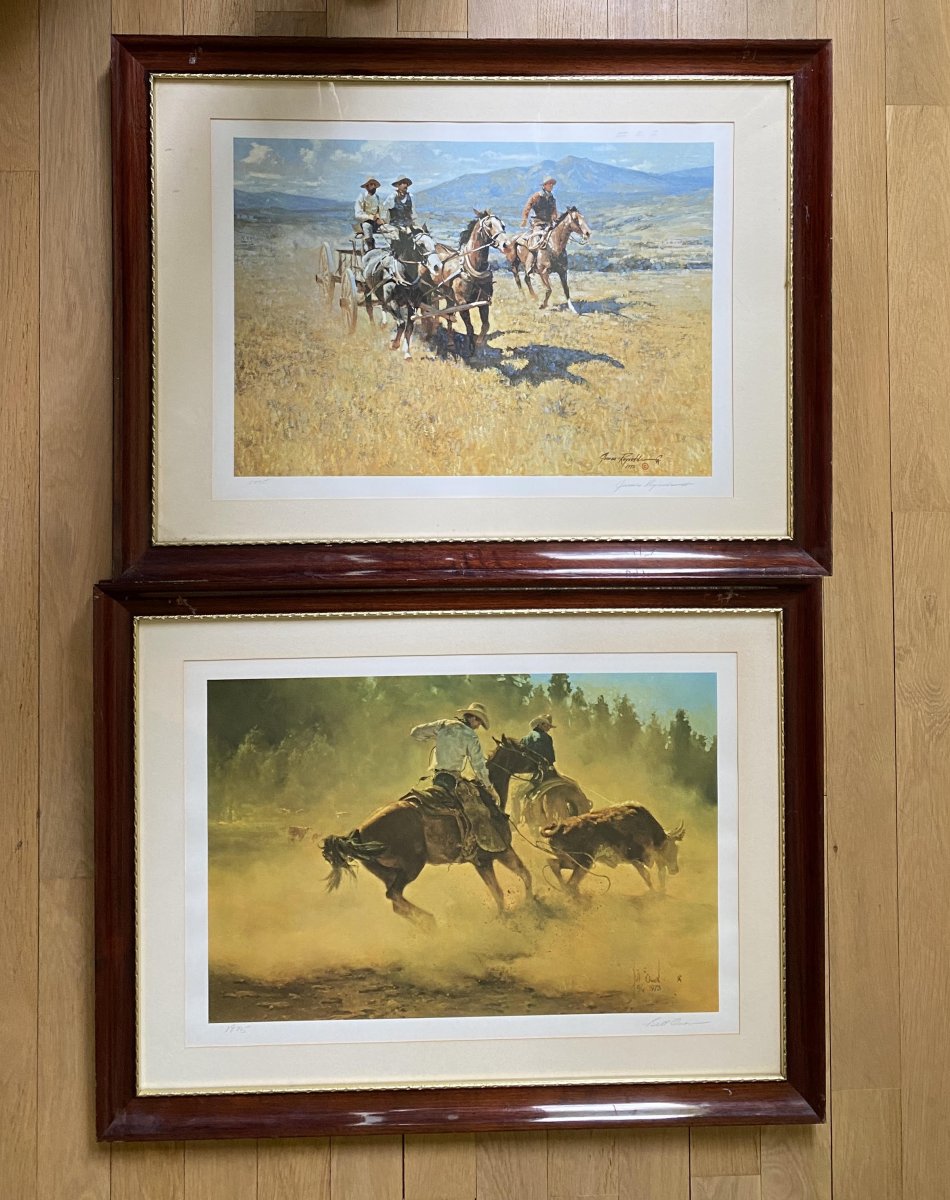 Series Of 8 Engravings From The American Wild West-photo-1