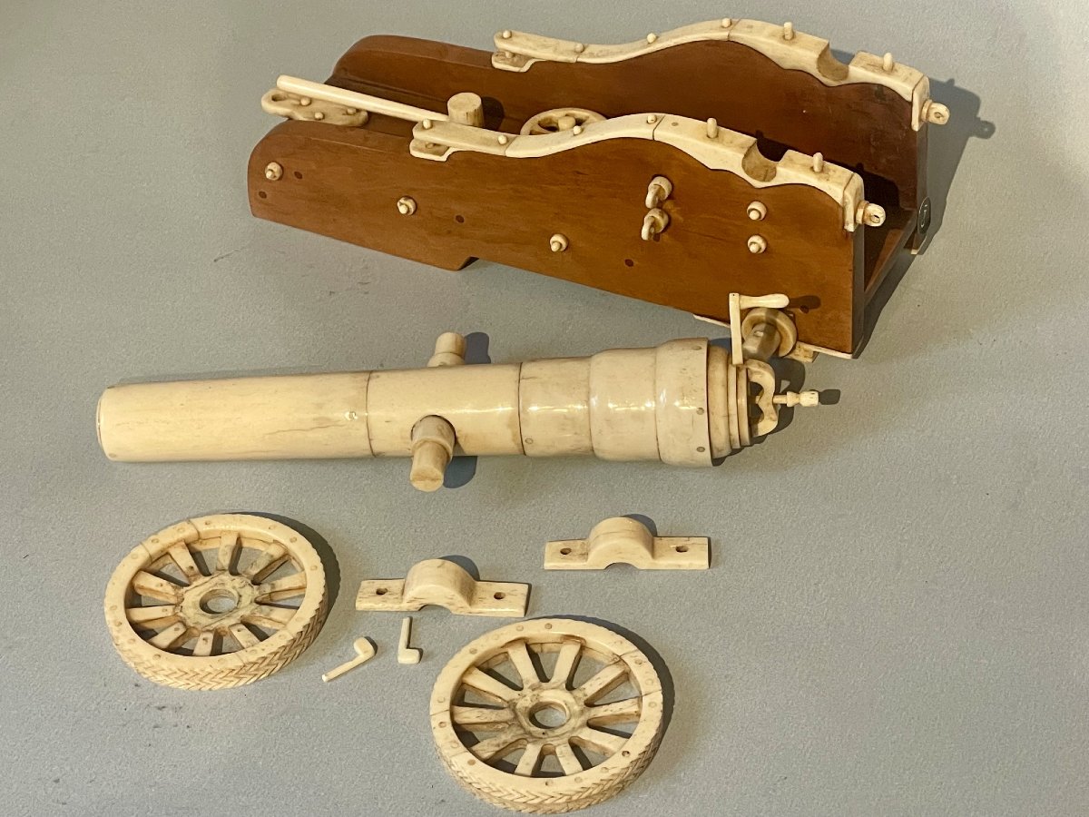 Boxwood Cannon -photo-2