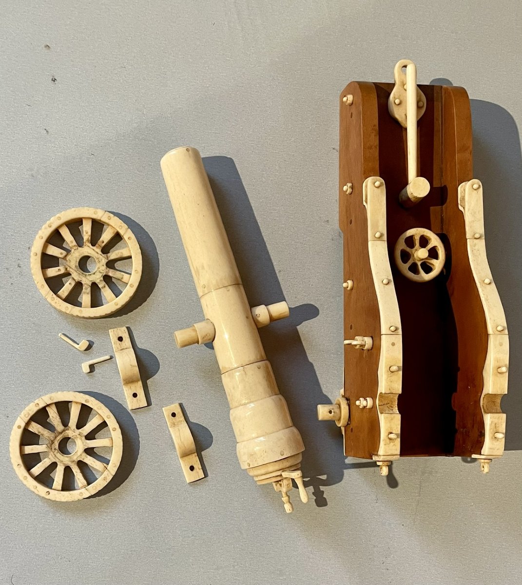 Boxwood Cannon -photo-3