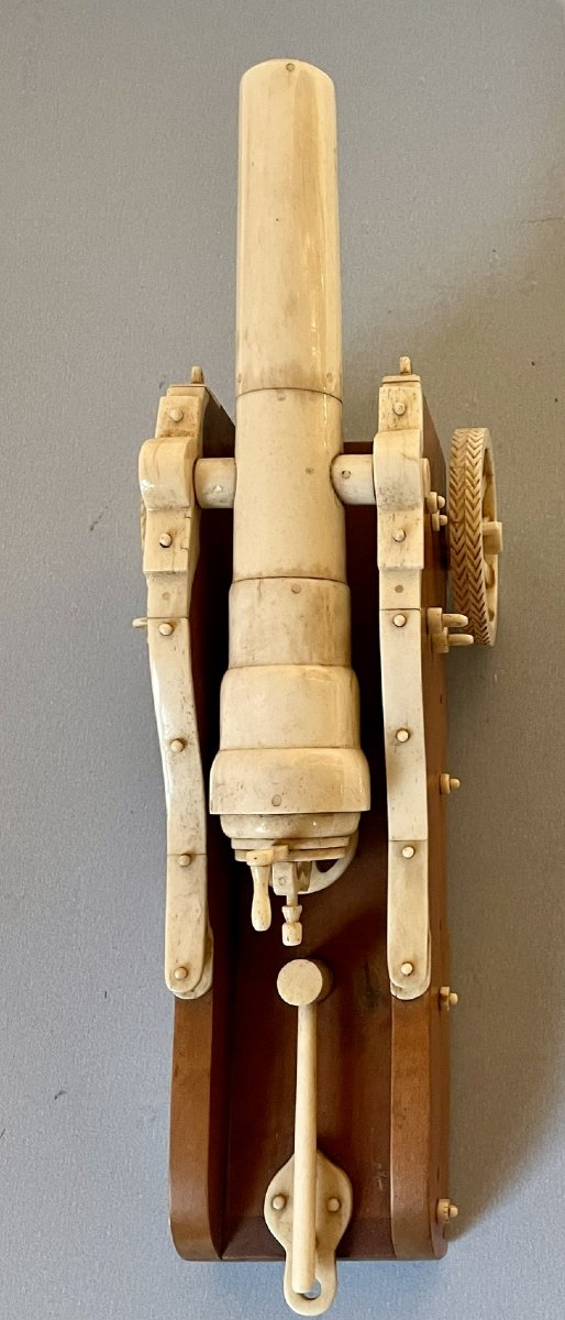 Boxwood Cannon -photo-4