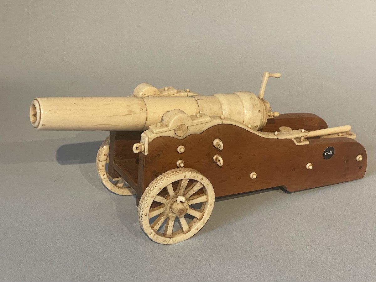 Boxwood Cannon 