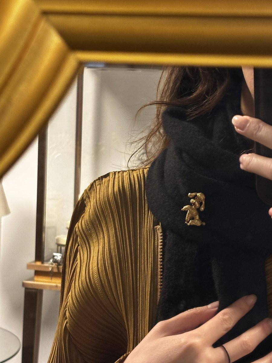 Broche Caniche en or 18k -photo-4