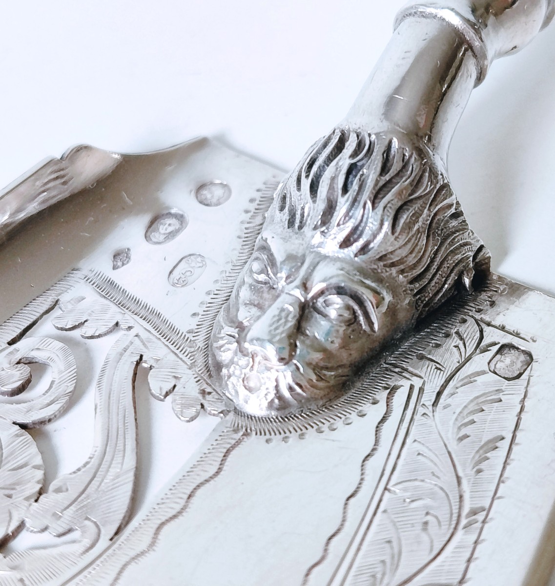 Pelle à poisson en argent massif -photo-2