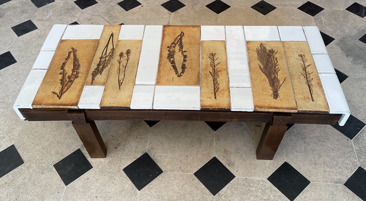 Roger Capron Herbarium Coffee Table 1970