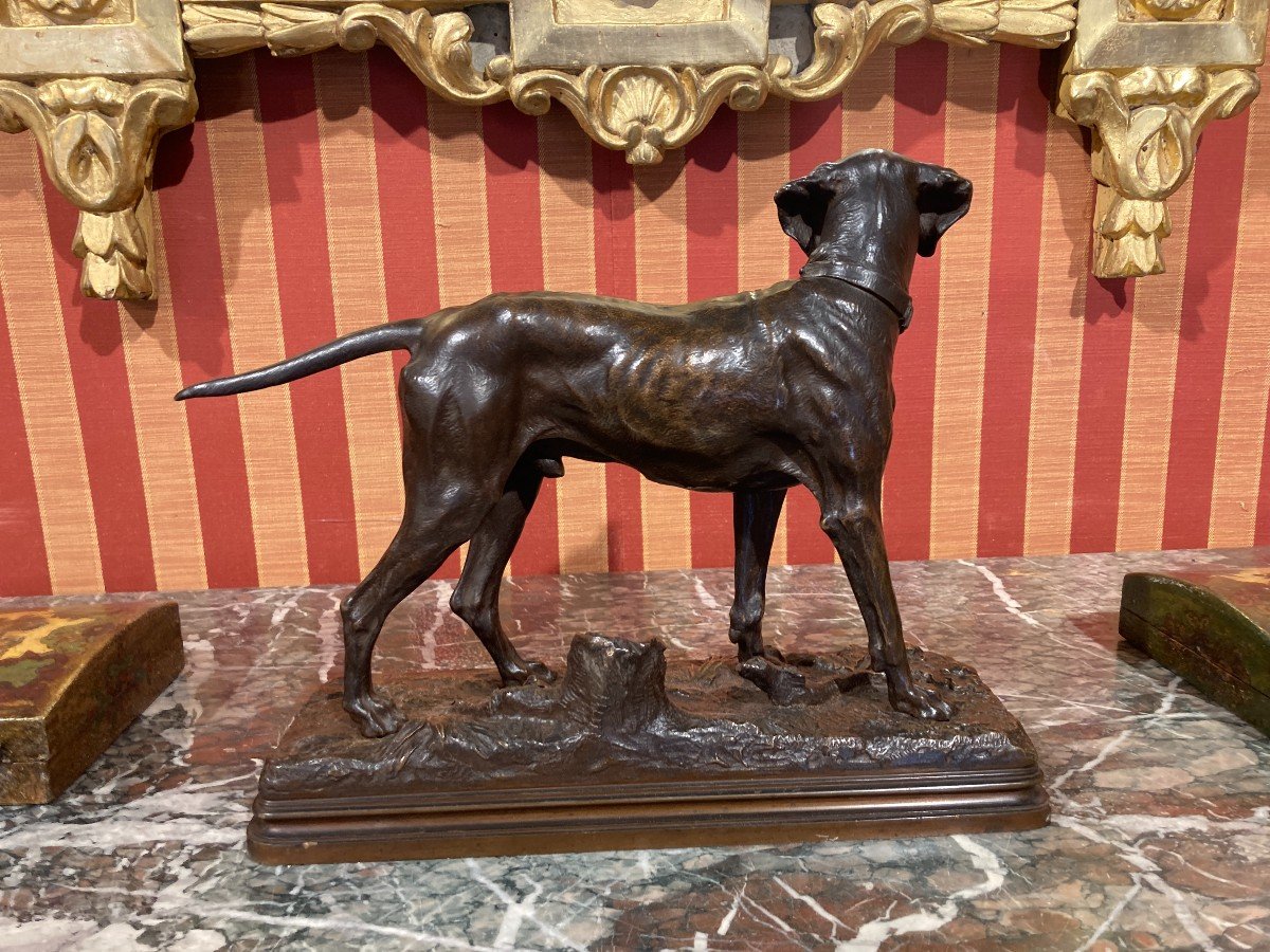 19th Century Bronze Sculpture - Stopping Dog -photo-1