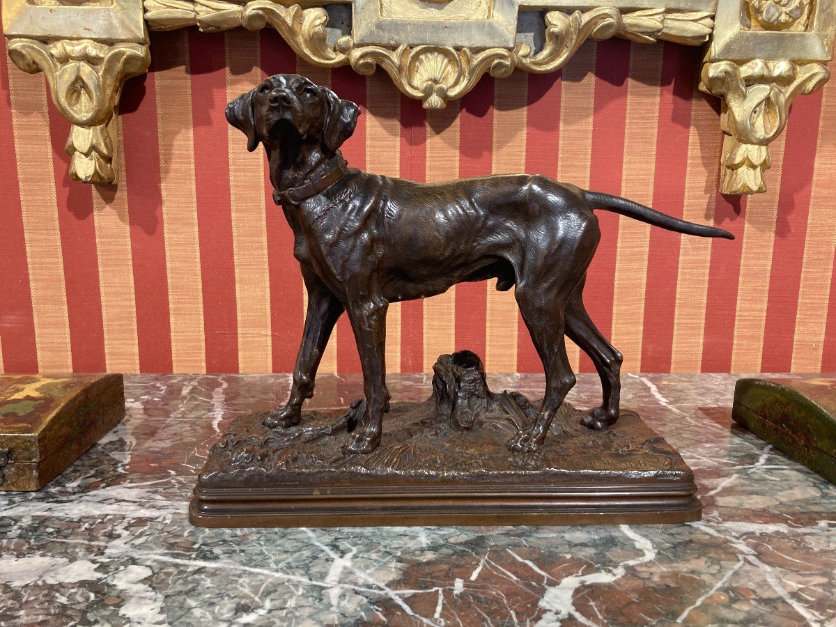 19th Century Bronze Sculpture - Stopping Dog 