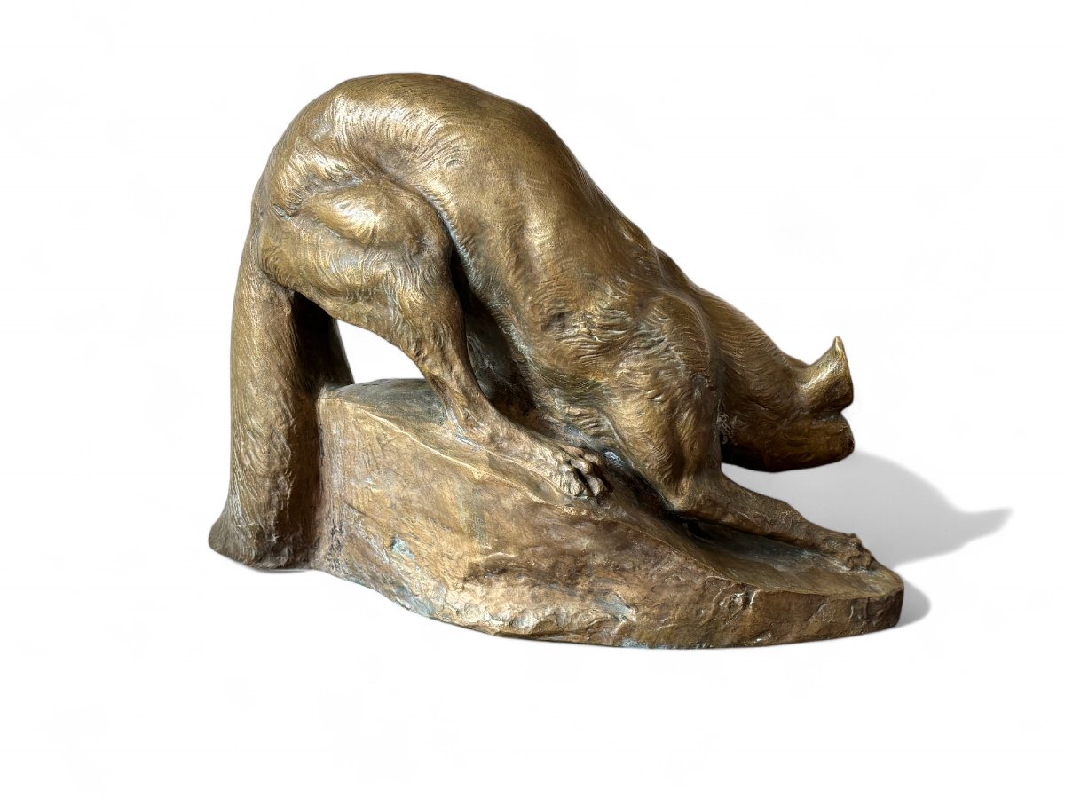 "fox On The Lookout" Bronze With Brown Patina Signed Francisque-photo-3