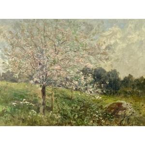 Labitte Eugène Léon (1858-1937) - Apple Tree In Blossom.