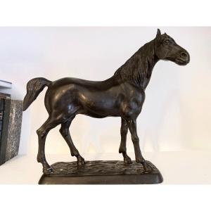 Equestrian Bronze With Black Patina - 20th Century