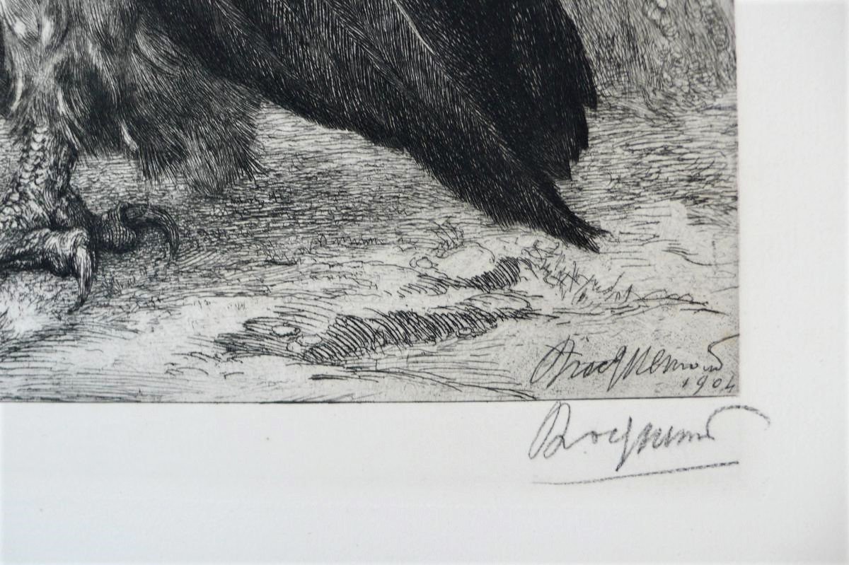 Vulture Etching The Birds By Bracquemont-photo-3