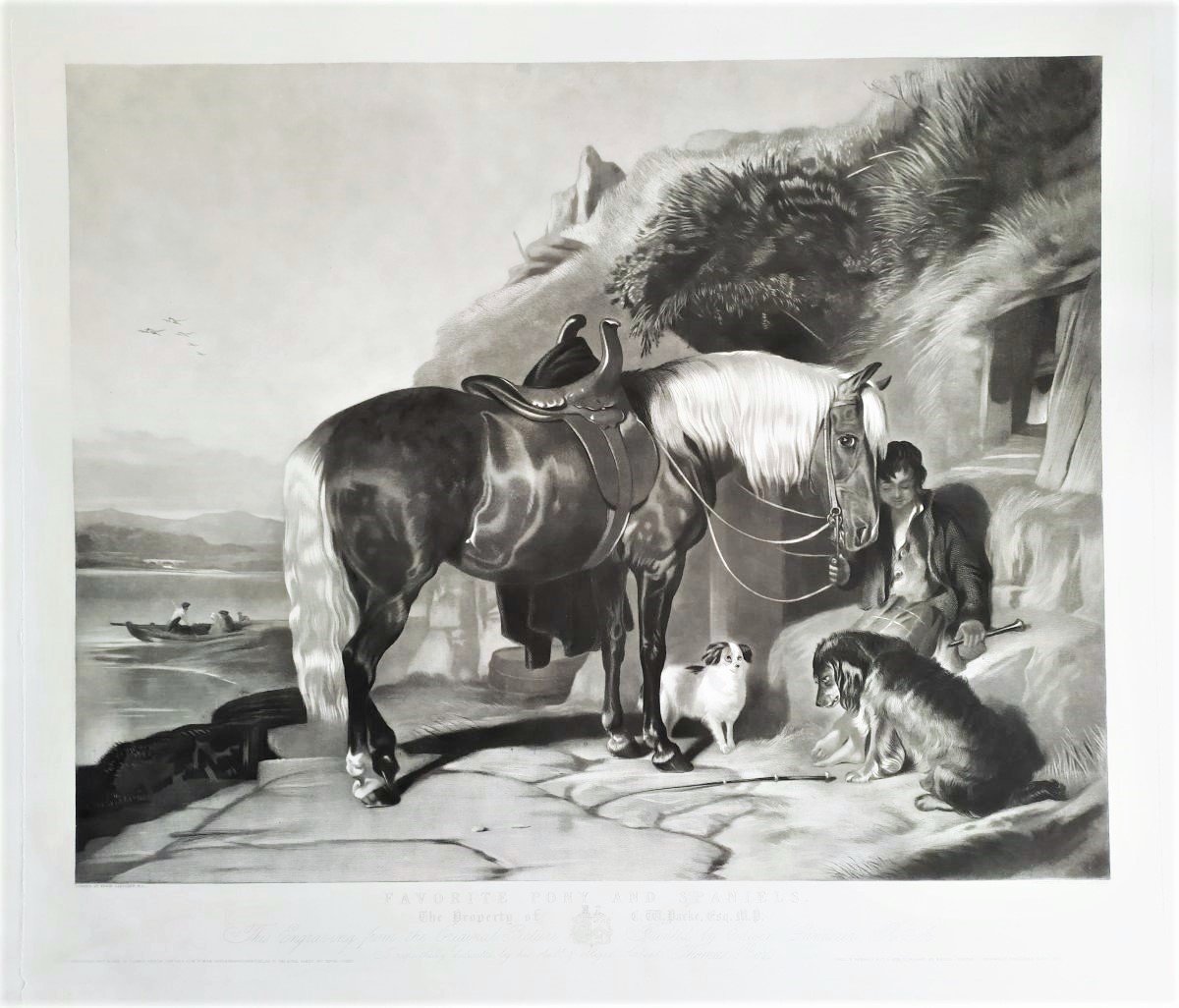  Pony And Spaniels Gravure Par Thomas Et Edwin  Landseer -photo-2