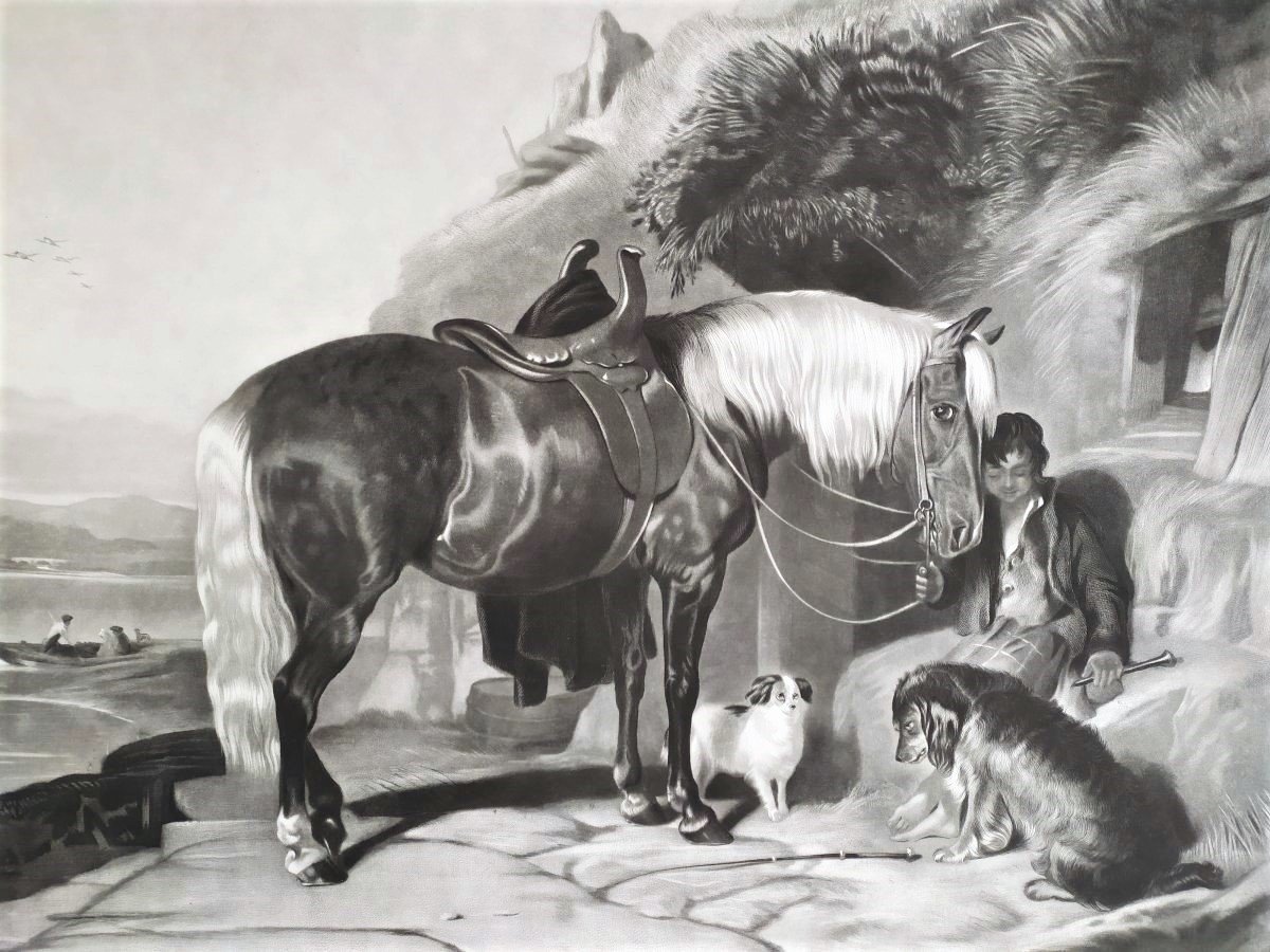  Pony And Spaniels Gravure Par Thomas Et Edwin  Landseer -photo-4