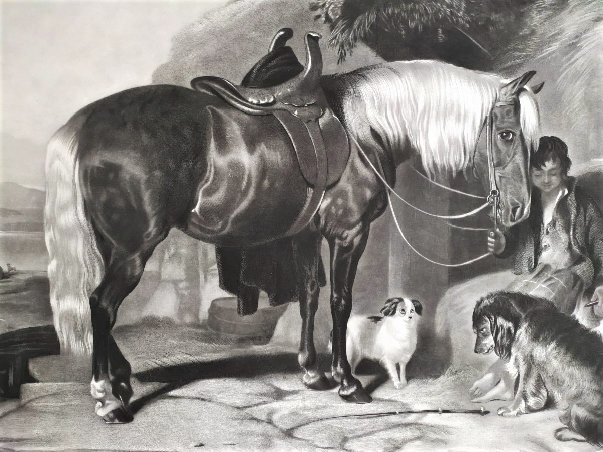  Pony And Spaniels Gravure Par Thomas Et Edwin  Landseer -photo-2