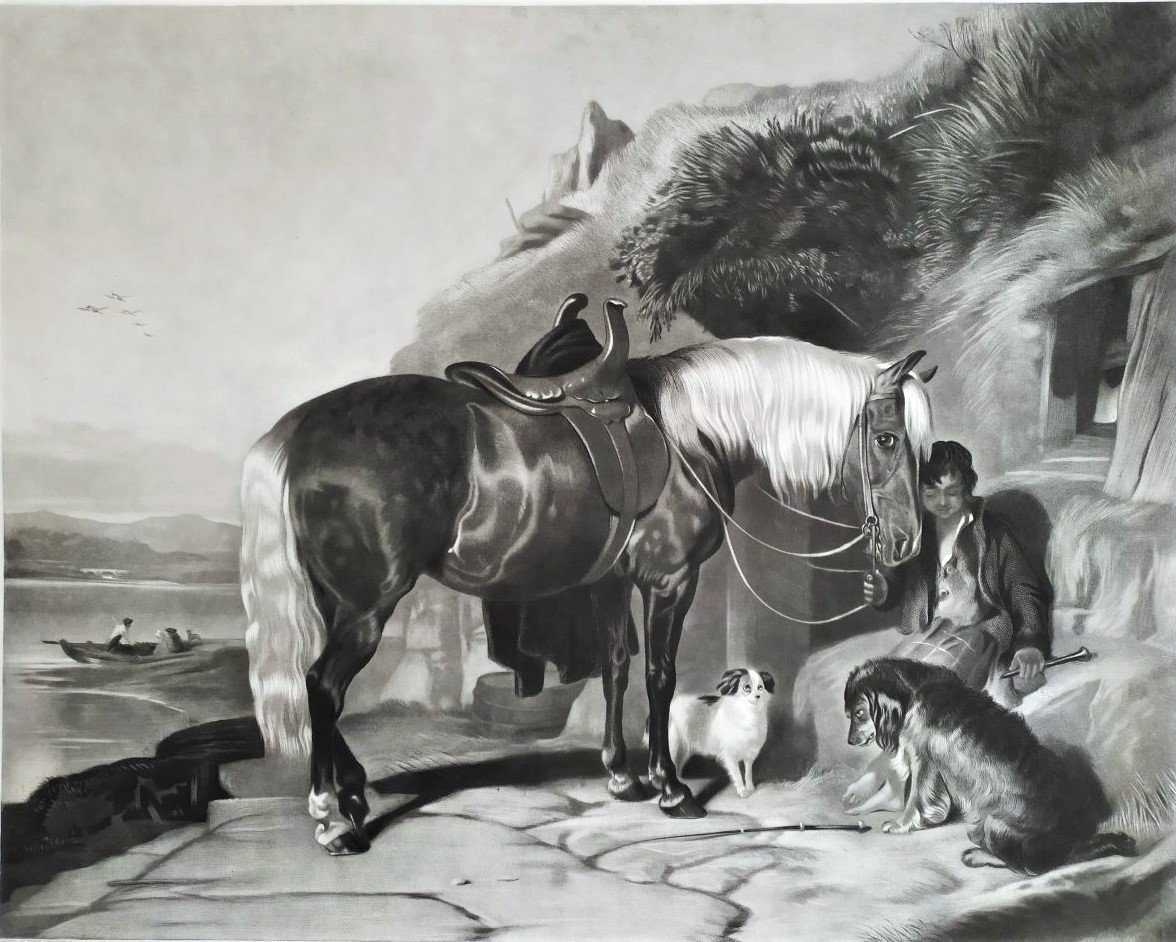  Pony And Spaniels Gravure Par Thomas Et Edwin  Landseer 