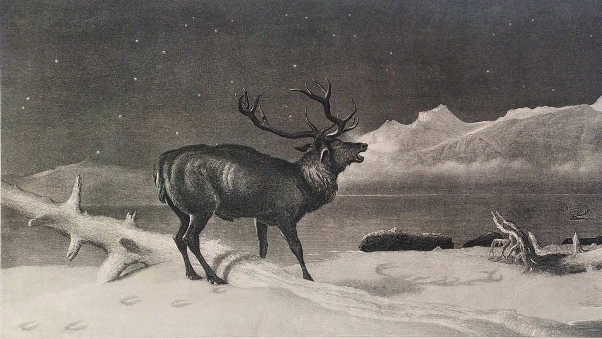 Deer Etching Animals After Edwin Landseer-photo-2