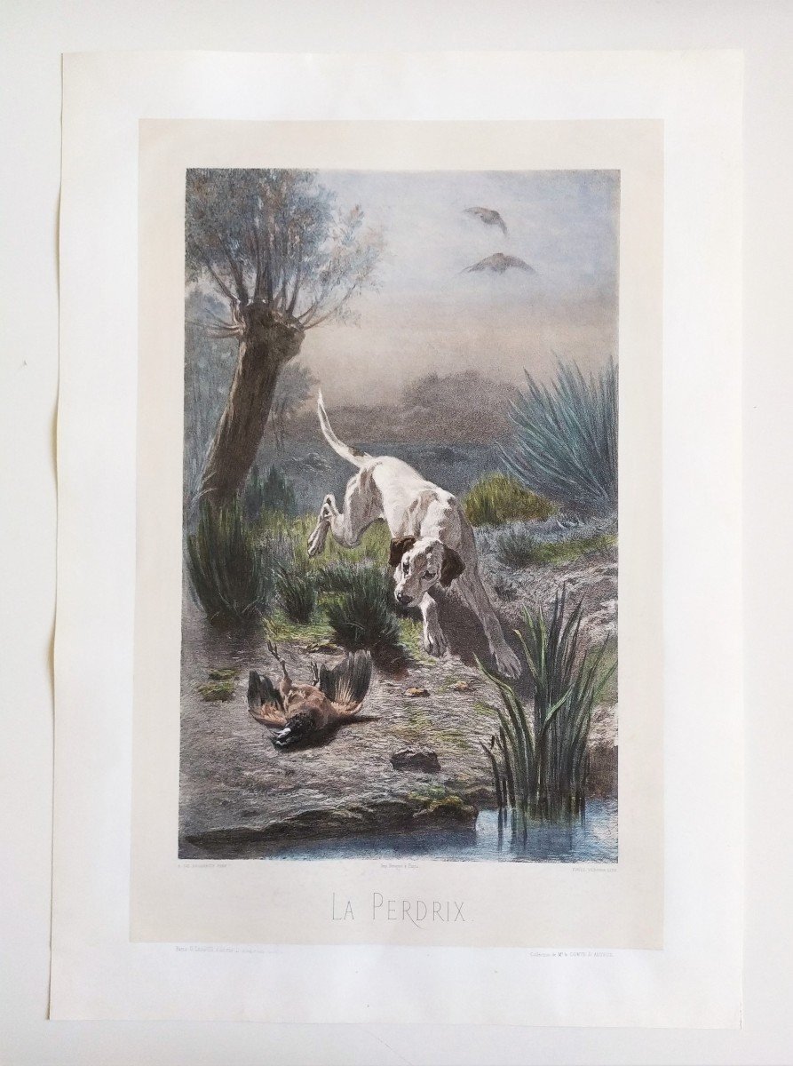 Chien Chasse Lithographie Aquarellée-photo-2