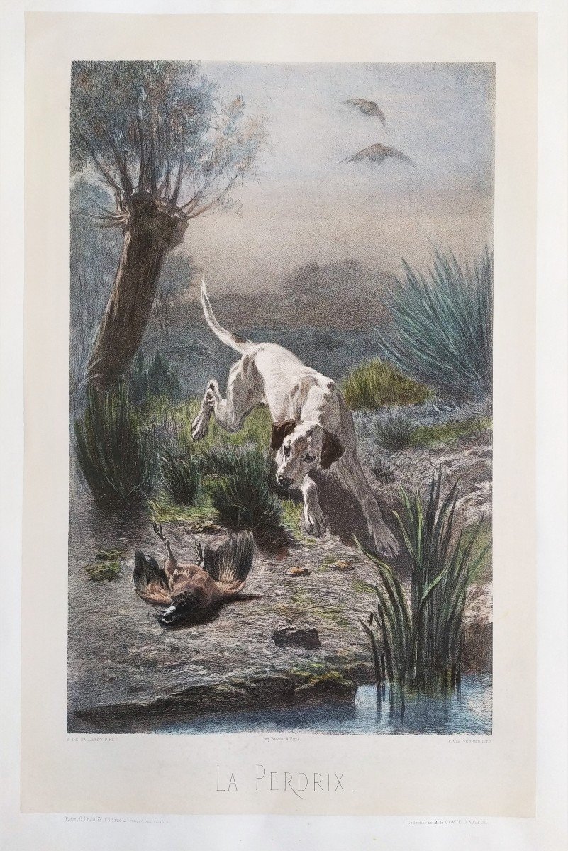 Chien Chasse Lithographie Aquarellée-photo-3