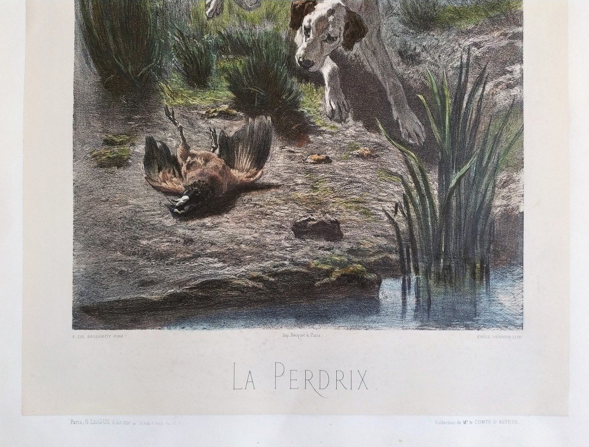 Hunting Dog Watercolored Lithograph-photo-4