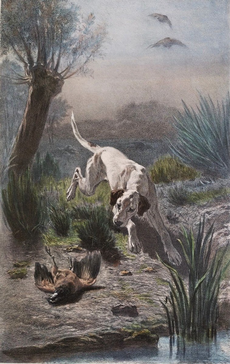 Chien Chasse Lithographie Aquarellée-photo-2