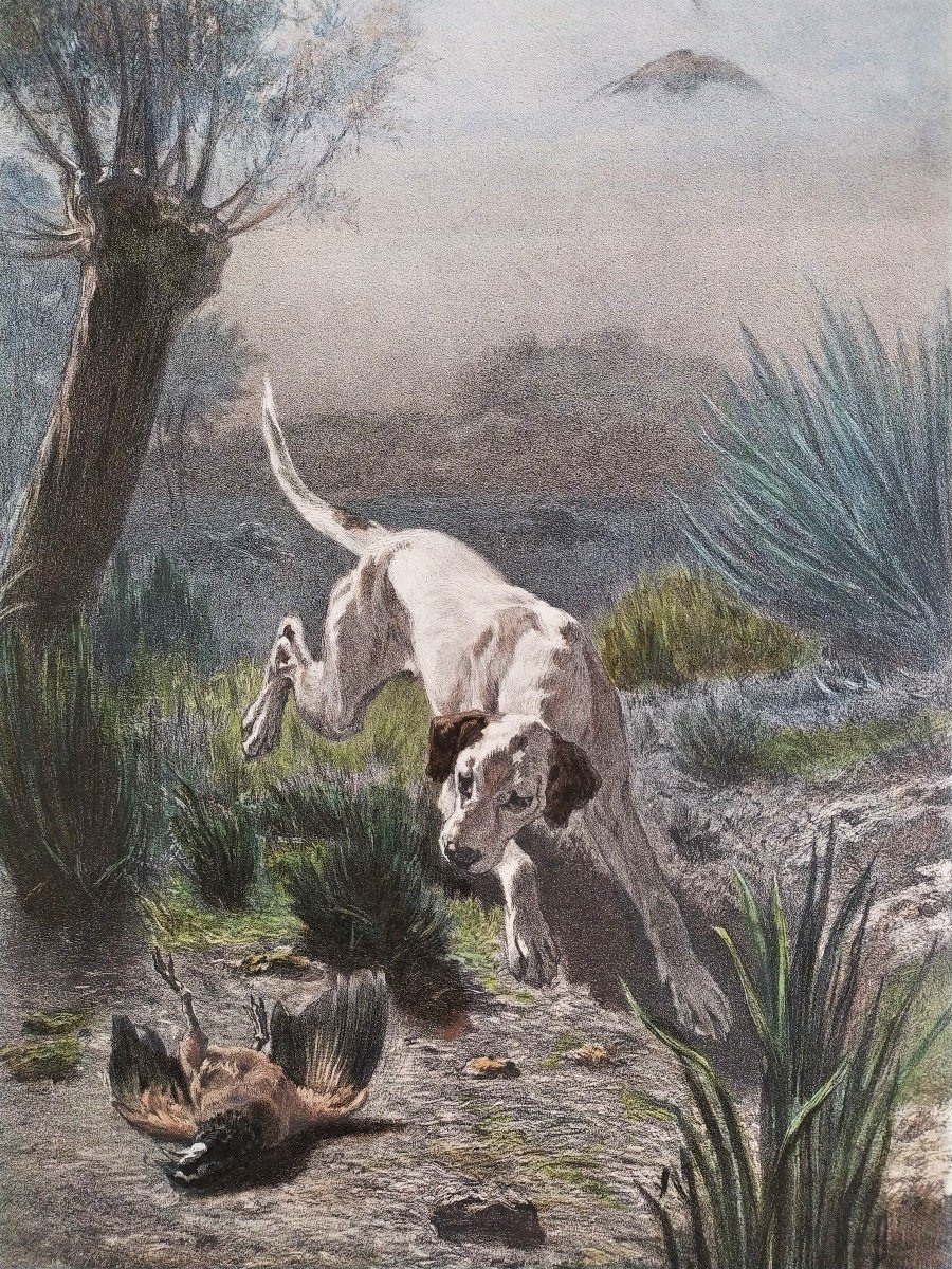 Hunting Dog Watercolored Lithograph-photo-3