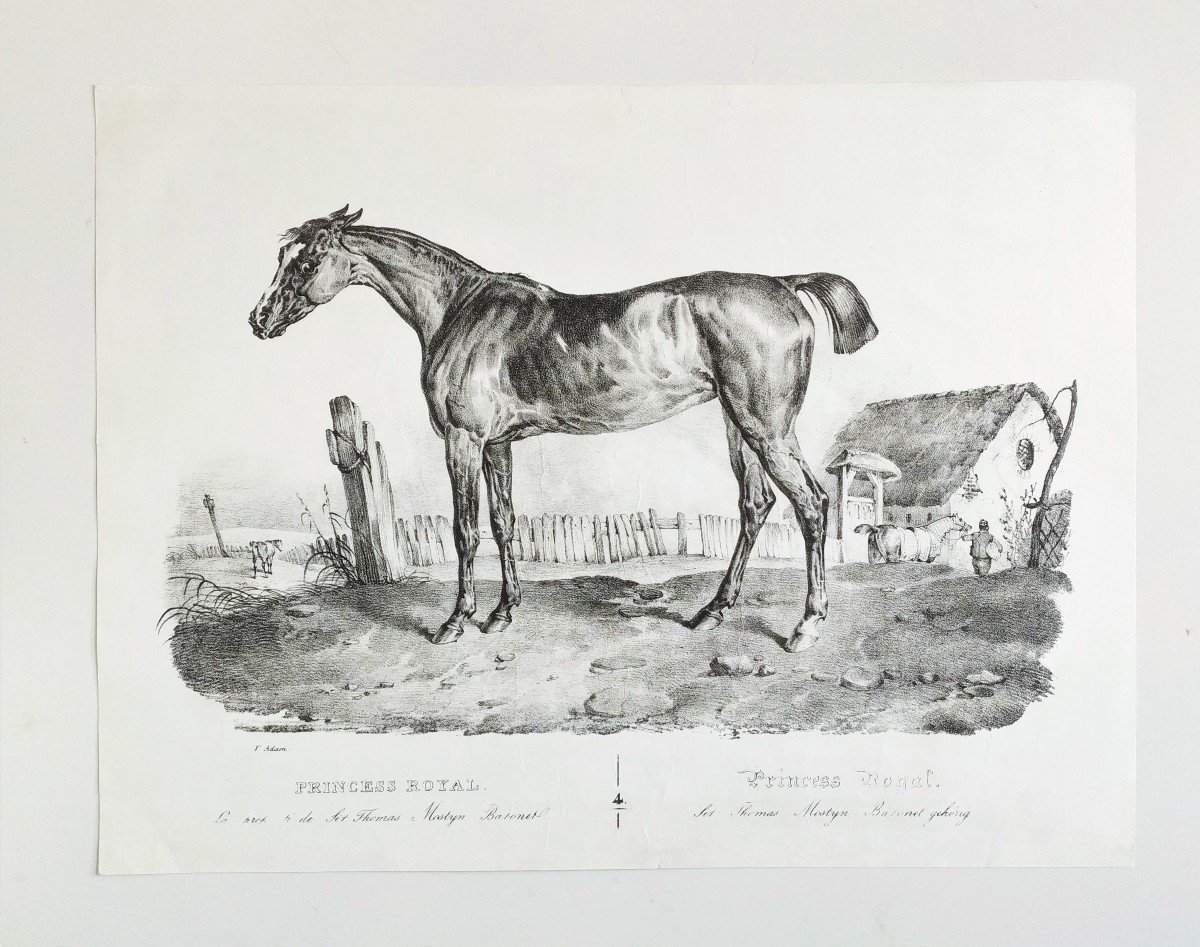 Horse Lithograph By Victor  Adam-photo-2